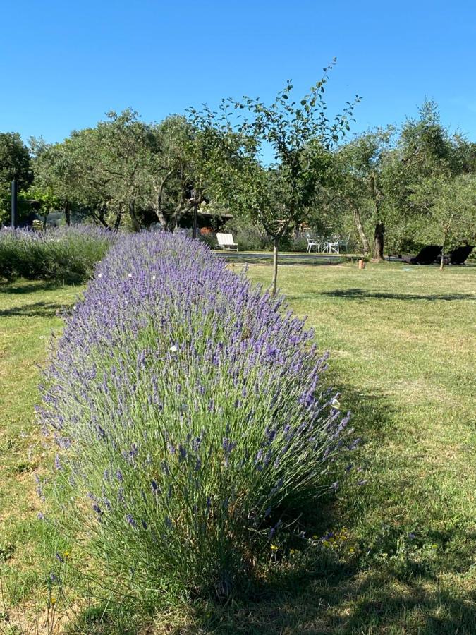 Agriturismo La Cervaiola Piccola Dimora Di Campagna Porano Екстериор снимка