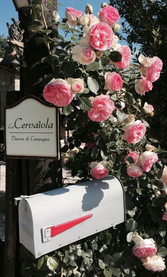 Agriturismo La Cervaiola Piccola Dimora Di Campagna Porano Екстериор снимка